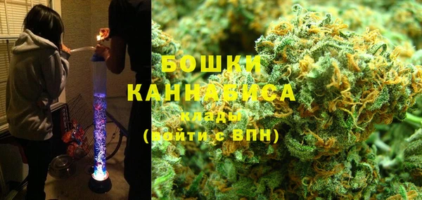 крисы Бугульма