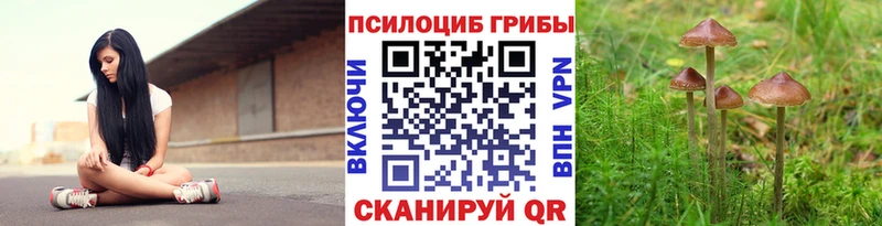 kraken как зайти где продают наркотики Каспийск Псилоцибиновые грибы Psilocybine cubensis